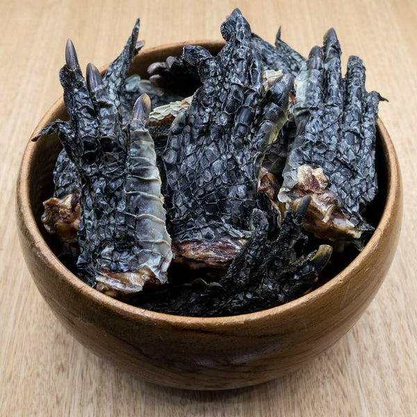 Crocodile Feet - Give Paws