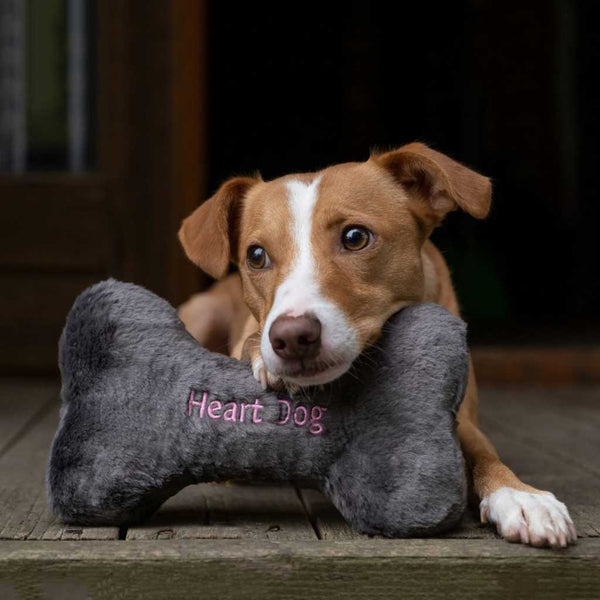 Heart Dog Bone - Medium - Give Paws