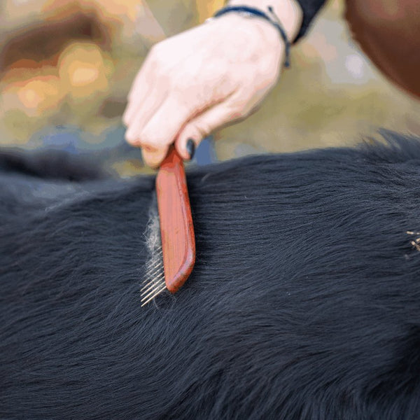 Herm Sprenger Wooden Dog Comb - Give Paws