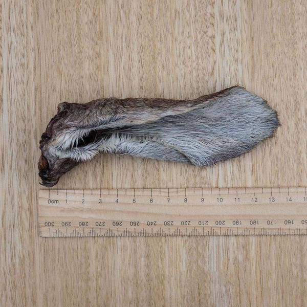 Kangaroo Ears - Give Paws
