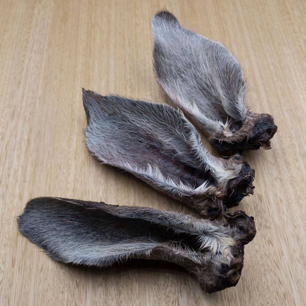 Kangaroo Ears - Give Paws