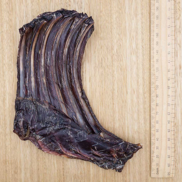 Kangaroo Ribs - Regular - Give Paws