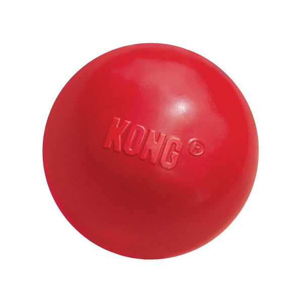 KONG Ball with Hole - Give Paws