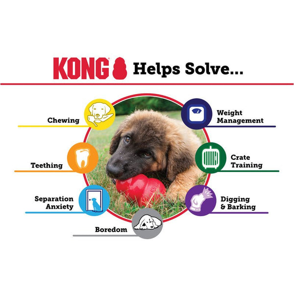 KONG Classic - Give Paws