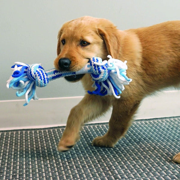 KONG Rope Ball - Puppy - Give Paws