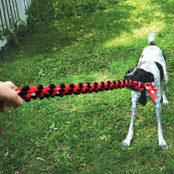 KONG Signature Rope Dual Knot with Ball - Give Paws