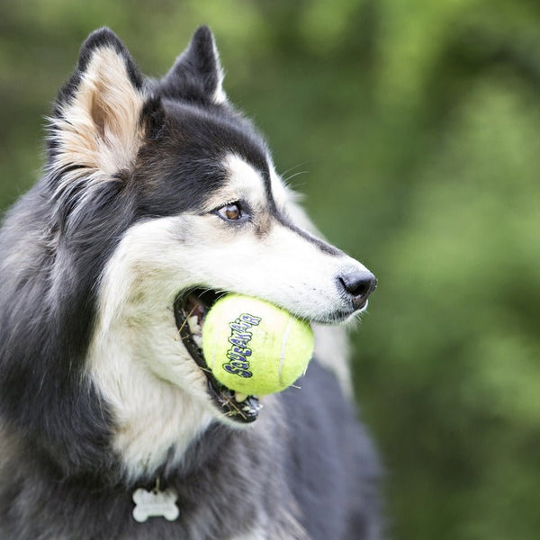 KONG SqueakAir Balls - Give Paws