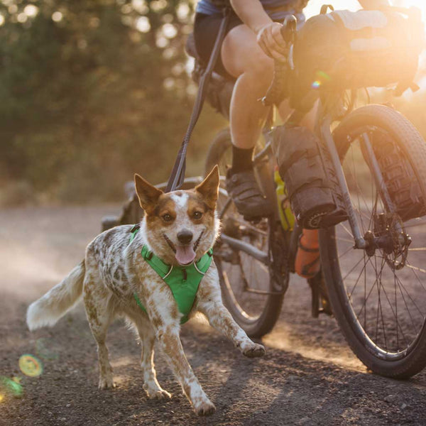 Ruffwear Front Range Dog Harness - Give Paws