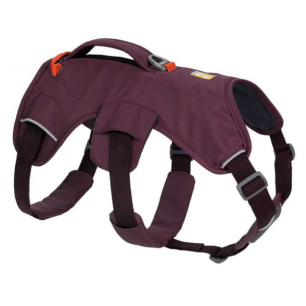 Ruffwear Web Master Dog Harness with Handle - Give Paws