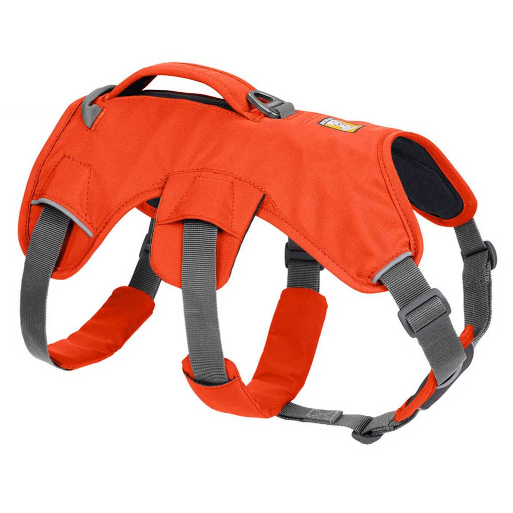 Washing ruffwear best sale harness
