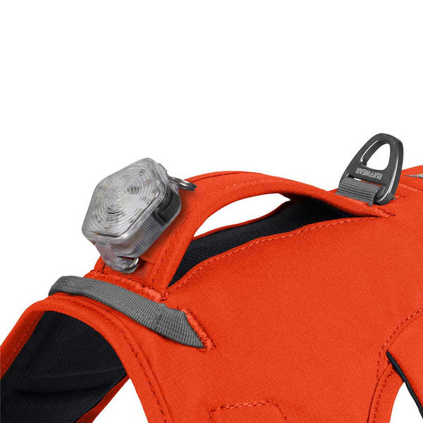 Ruffwear Web Master Dog Harness with Handle - Give Paws