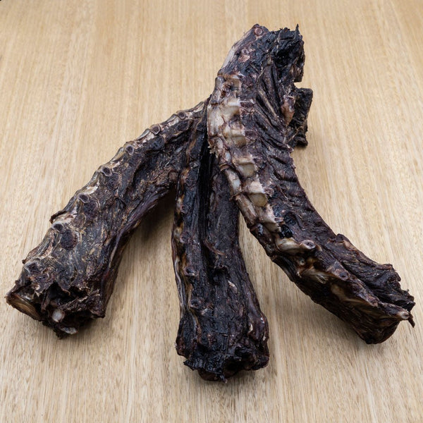 Wallaby Spines - Give Paws