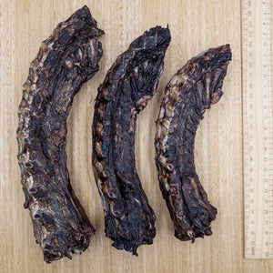 Wallaby Spines - Give Paws