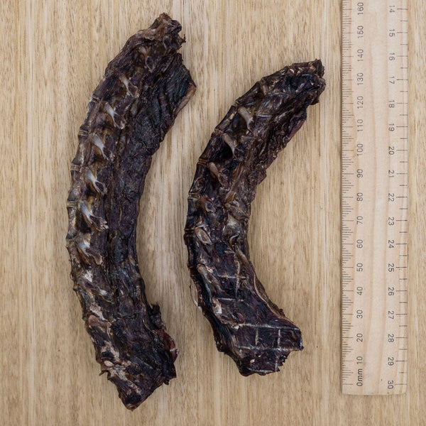 Wallaby Spines - Extra Small - Give Paws