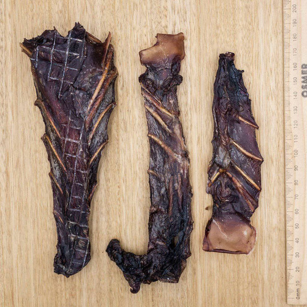 Wallaby Sternum - Give Paws
