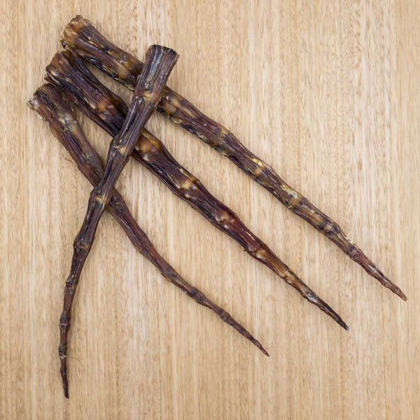 Wallaby Tail Tips - Give Paws